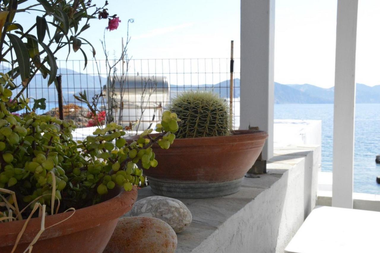 Villa Thalassophile Eco House Plaka  Exterior foto